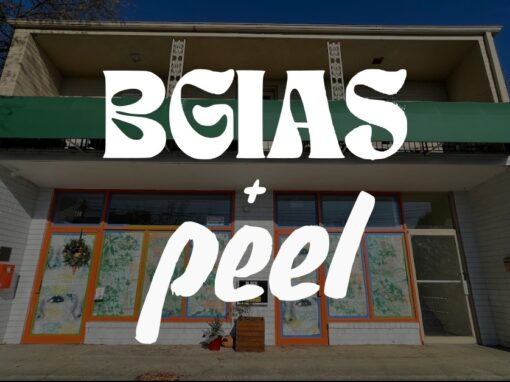 Abigail Ruth Exhibit Recap | Content Creation for BGIAS & Peel Gallery